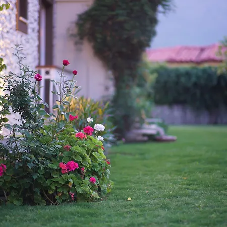 Hotel Naz Gocek (Fethiye)