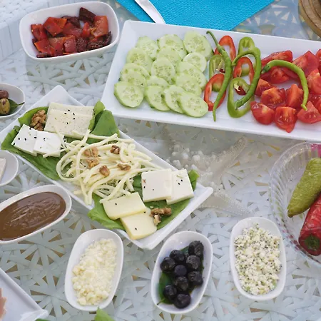 جوسيك ناز 3* غوجيك