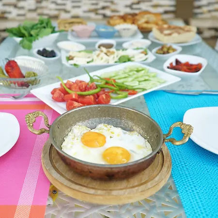 جوسيك ناز فندق