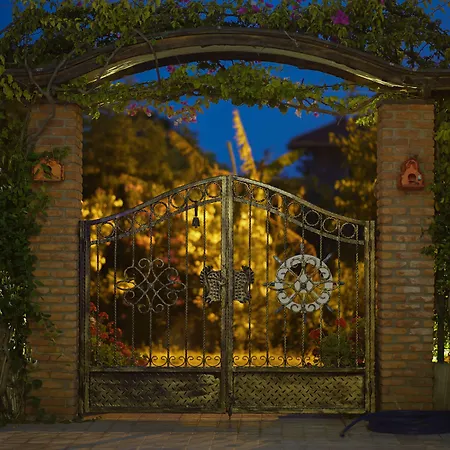 جوسيك ناز غوجيك